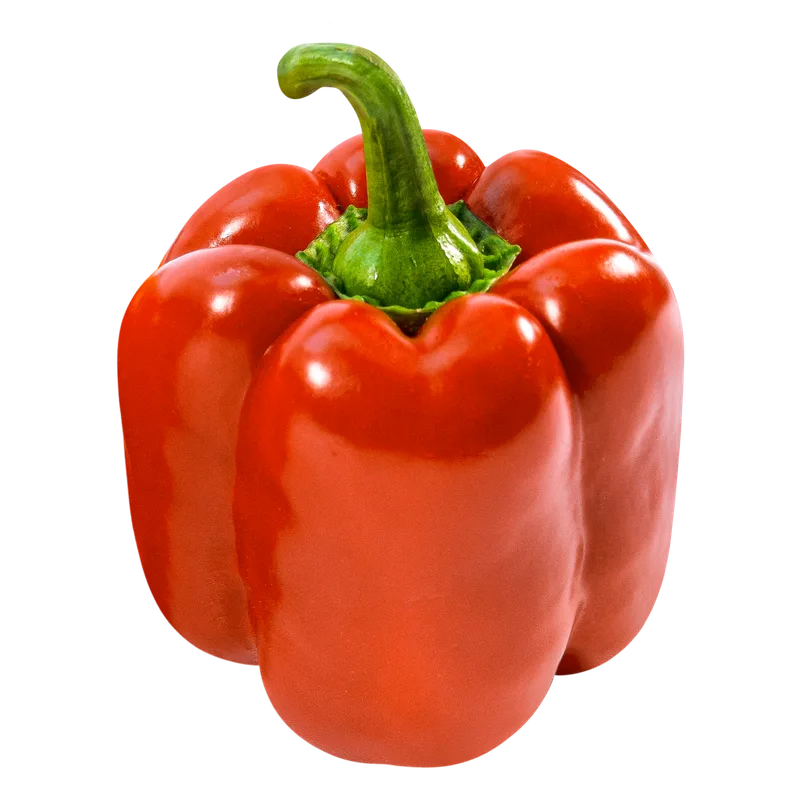 Fresh red bell pepper