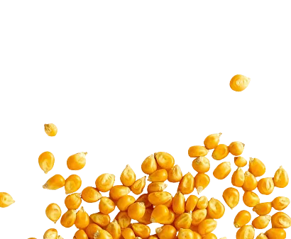 Fresh corn kernels