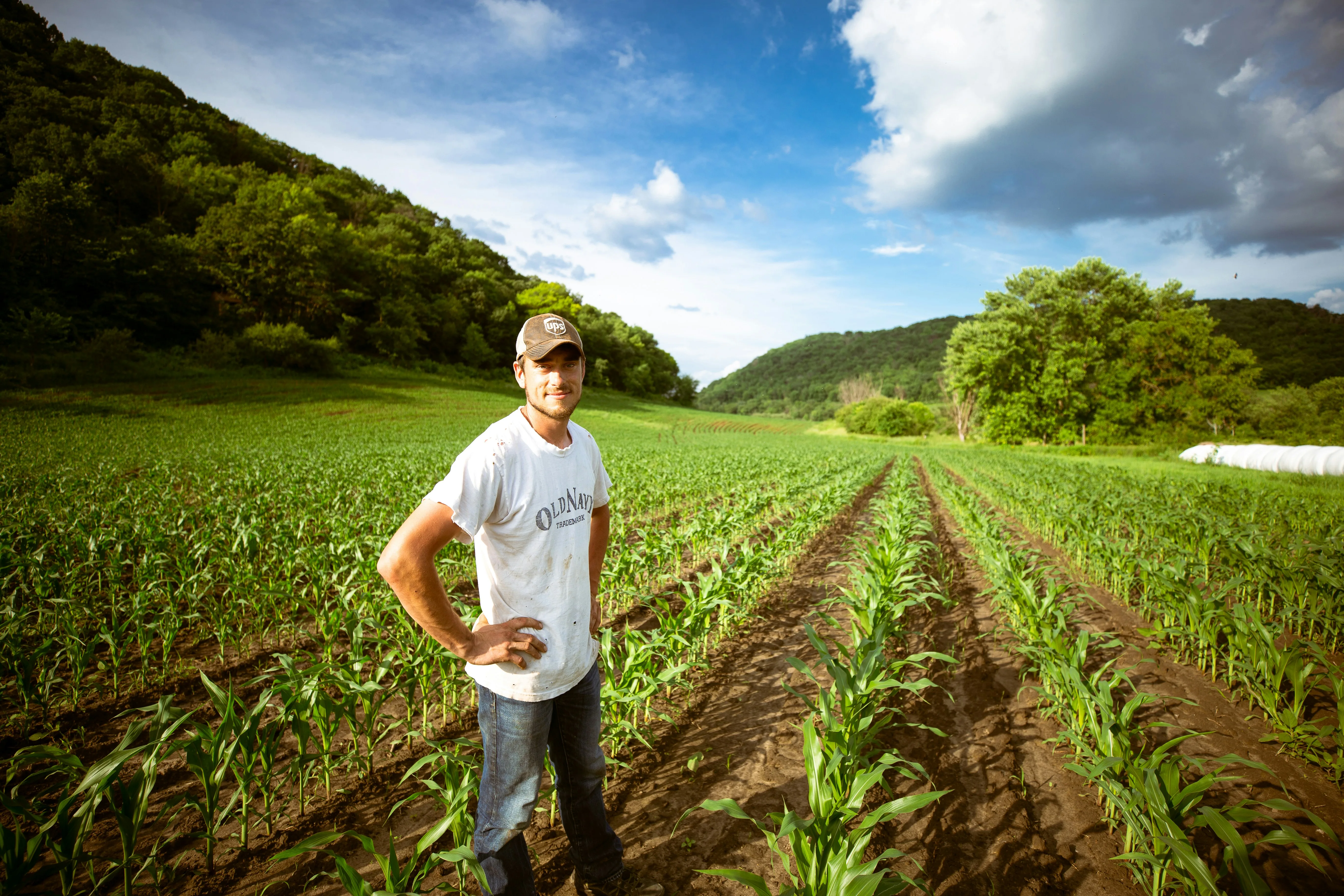 Grower standing in a row crop field