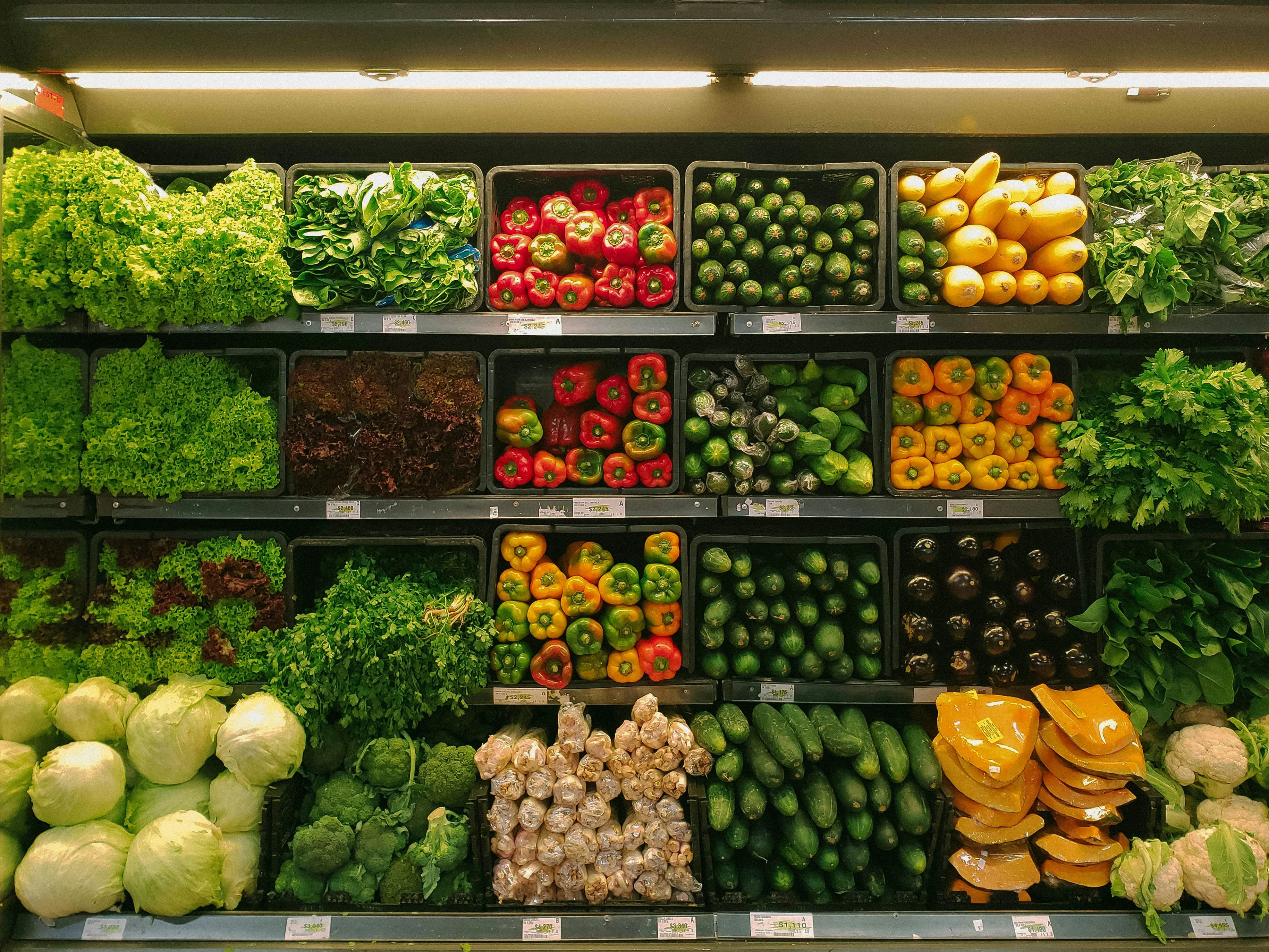 Fresh produce display of peppers, cucumbers, and squash at a retail market