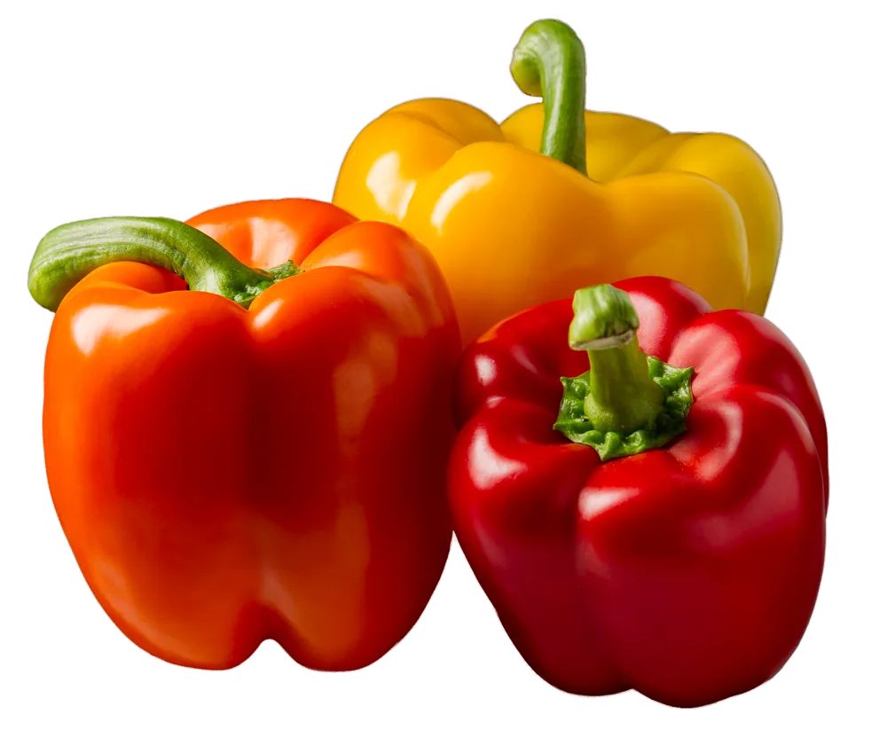 Fresh orange, red, and yellow bell peppers