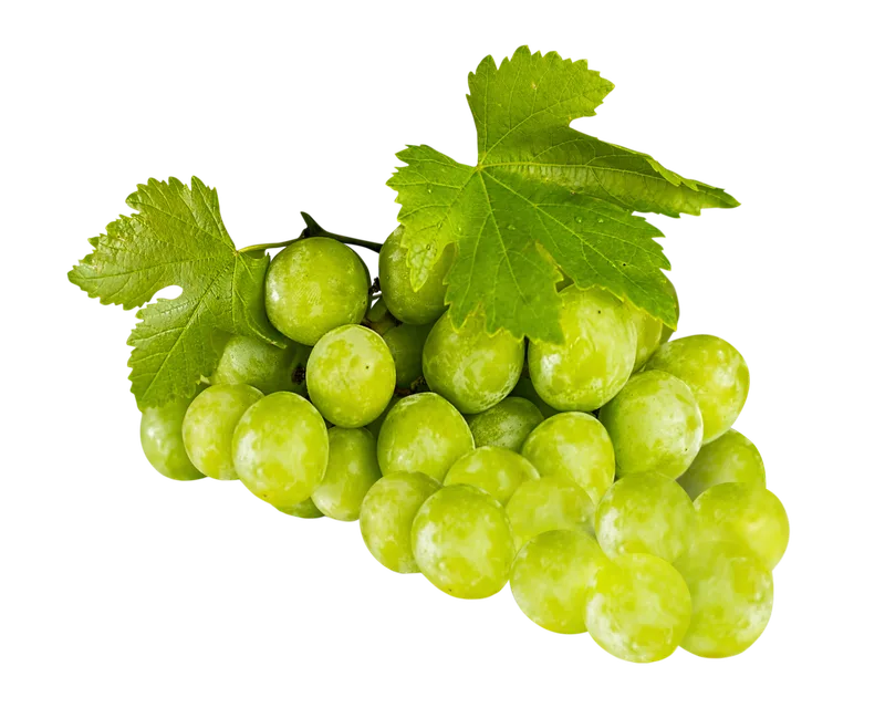 Fresh green grapes